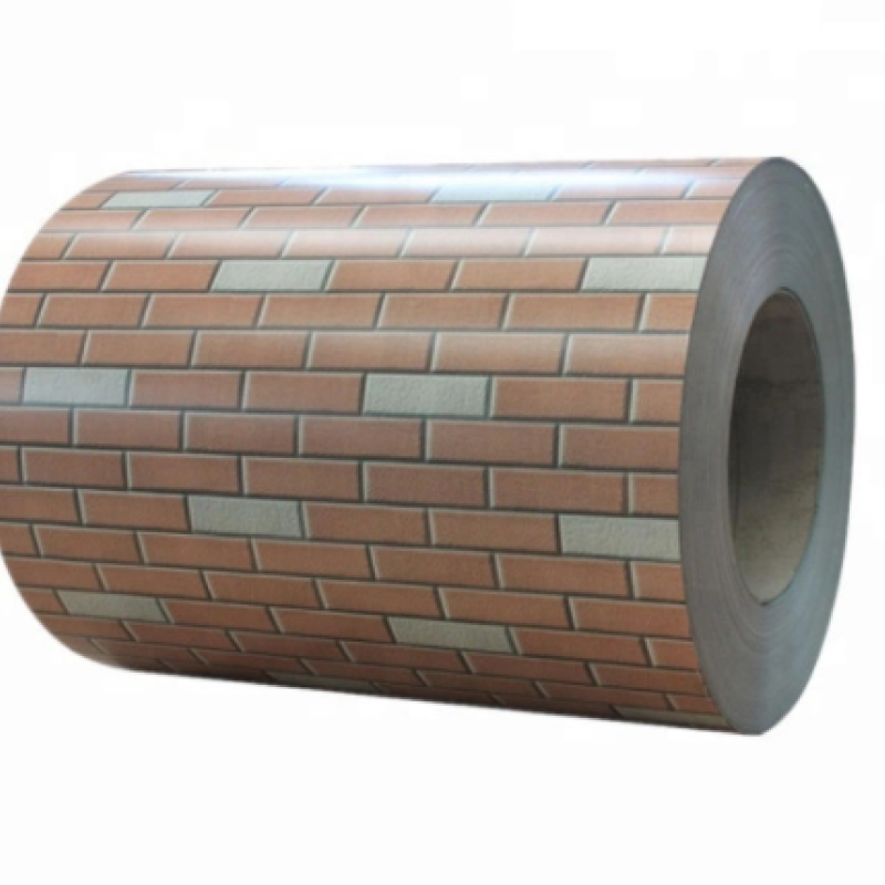 Colour Coated Coil Sheet 